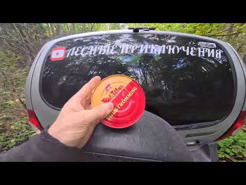 Видео: 🌳ОХОТА И РЫБАЛКА 🌲// ПО МЕДВЕЖЬИМ🐻 ТРОПАМ В МЕСТО ДУШЕВНОГО ПОКОЯ 💪🏻