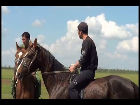 Видео: Скачки аул Нижний Барханчак 2014г.
