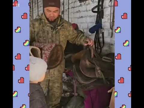 Видео: Бақытты отбасы