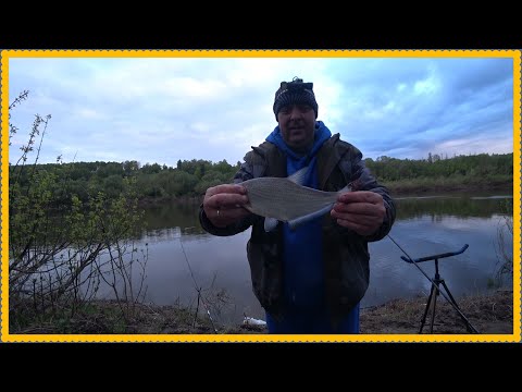 Видео: Рыбалка На Оке, Первый Выезд !!!