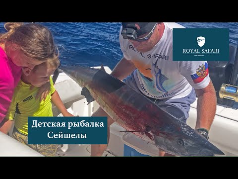 Видео: Детская рыбалка. Сейшелы. Китовая акула, тунцы и огромные ваху.