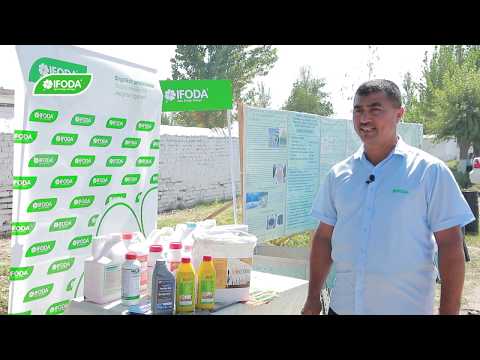 Видео: Кузги ғалла уруғликларига ишлов бериш ишларини тўғри ташкил этиш бўйича дала семинарлари