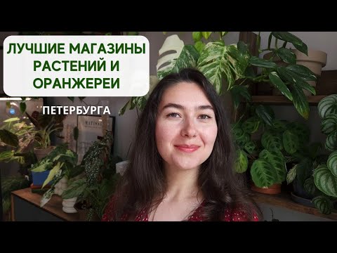 Видео: Куда сходить ЦВЕТОВОДУ в Санкт-Петербурге / Магазины РАСТЕНИЙ, кафе, ОРАНЖЕРЕИ и ботанические САДЫ