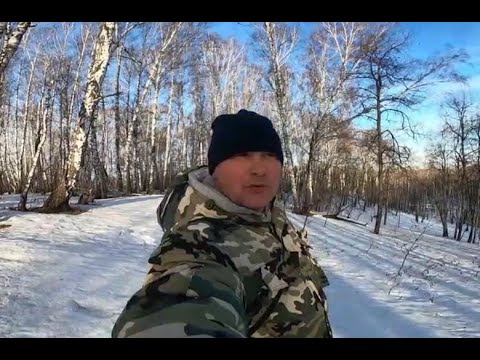 Видео: Первая нагонка бигля по зайцу