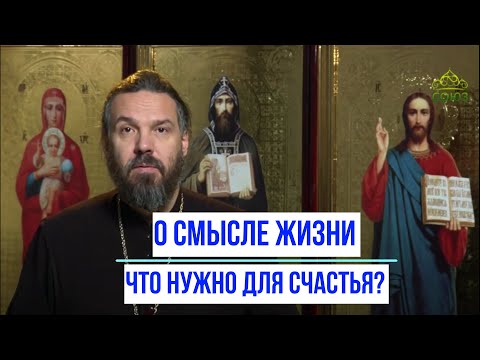 Видео: О смысле жизни. Что нужно для счастья? Протоиерей Евгений Попиченко