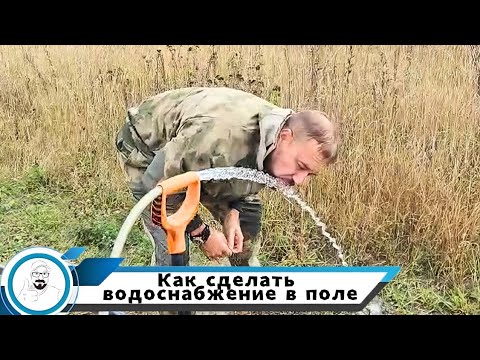 Видео: Абиссиним в полях // водоснабжение для участка