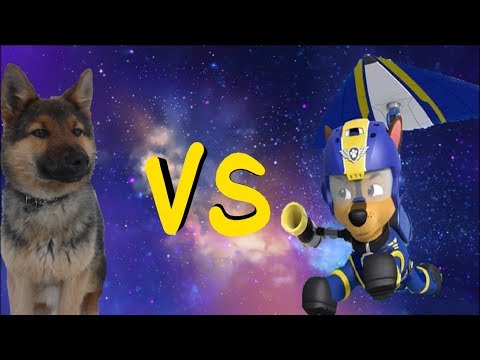 Видео: Джейк VS Гончик Реальность-Ожидание. Спасибо за 4 тыс. подписчиков.