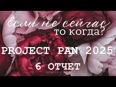 Видео: PROJECT PAN 2025 ОТЧЕТ 6