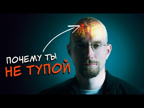 Видео: Как дешево усилить твой мозг