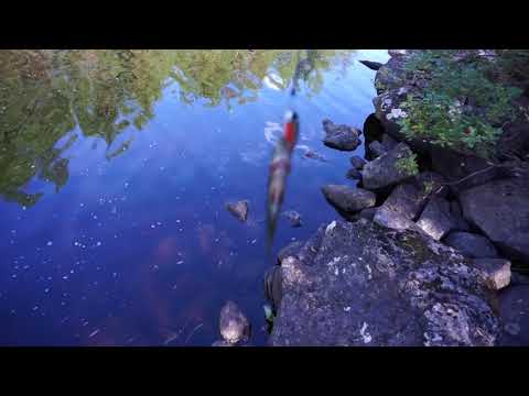 Видео: Карелия 2018. Ч.4 Верхнее Пулонгское озеро