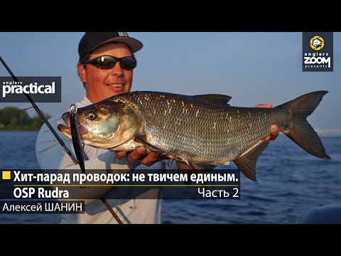 Видео: Хит-парад проводок: не твичем единым. OSP Rudra. Алексей Шанин.  Часть 2. Anglers Practical