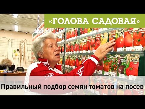 Видео: Голова садовая - Правильный подбор семян томатов на посев