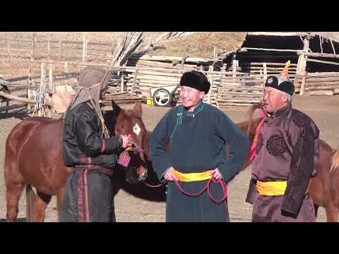 Видео: Эсгий Туургатан 94-р анги Хөвсгөл аймаг Төмөрбулаг Сумын түүхт 100 жил Монгол  Адуун