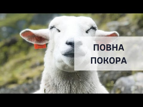 Видео: «Повна покора» | Вадім Єрмолін