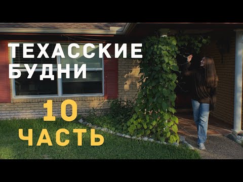 Видео: ЖИЗНЬ В ДОМЕ В США: РЕМОНТ, БЫТ И БУДНИ | ВЛОГ ИЗ ТЕХАСА |ЧАСТЬ 10