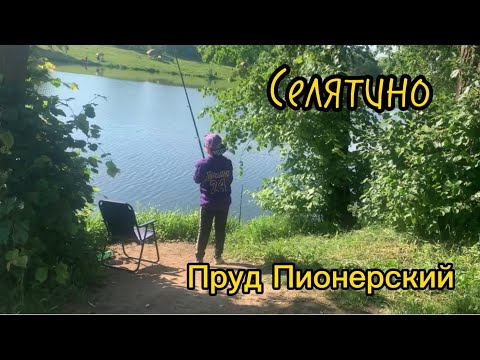 Видео: Рыбалка в Селятино. Пруд Пионерский , Московская область.