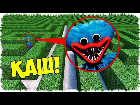 Видео: Осы ойыншықты Лабиринттен көрсең, дереу қаш!