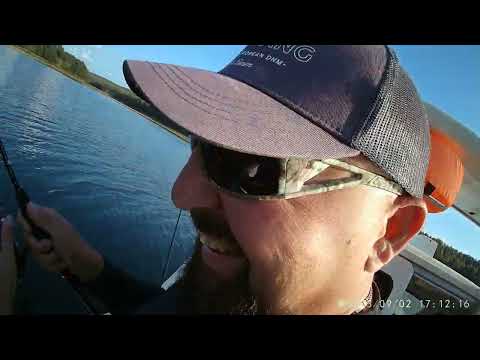 Видео: КВХ(Красноярское водохранилище) 2-3 сентября 2023