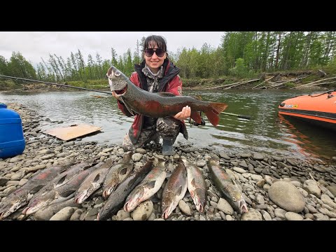 Видео: ОГРОМНЫЕ ЛЕНКИ ИЗ ОДНОЙ ЯМЫ.