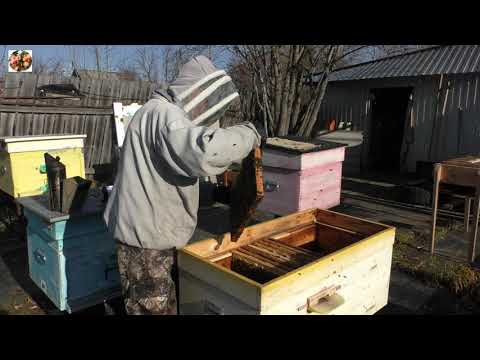 Видео: Как подготовлена семья к зиме.