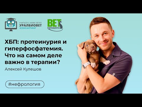 Видео: ХБП: протеинурия и гиперфосфатемия. Что на самом деле важно в терапии, лектор Алексей Кулешов