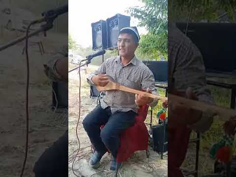 Видео: туйда хизматда Кобил бахши