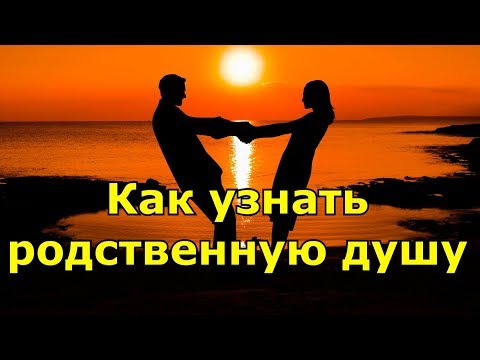 Видео: Как распознать родственную душу. Существует 4 типа.