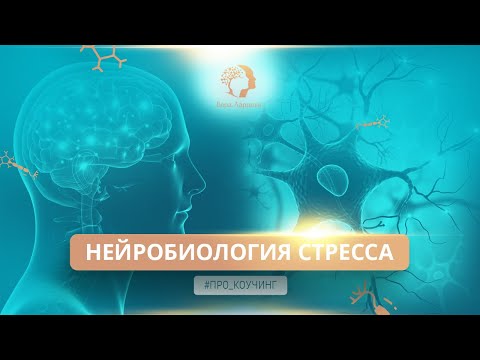 Видео: Нейробиология стресса