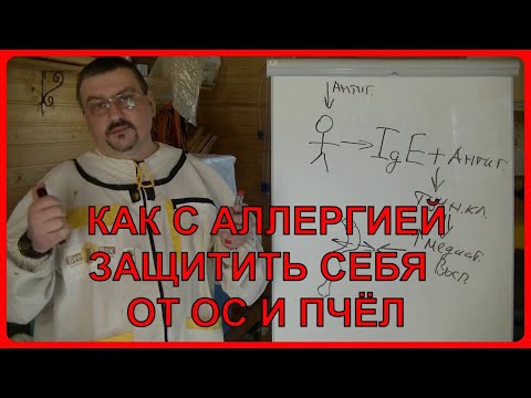 Видео: ❤ Как не быть ужаленным пчелой ❤