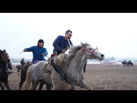 Видео: Кок Бору Шопок 2023