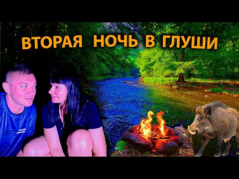 Видео: 🌲🔥 Вторая часть нашего похода 24 часа в лесу на берегу реки!