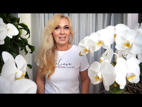 Видео: ГОТОВЫ ЭТО ВИДЕТЬ? СРАЖАЮТ НАПОВАЛ. ОГРОМНЫЕ ОБЛАКА.