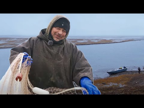 Видео: Жирная река. Документальный фильм | Полярные истории