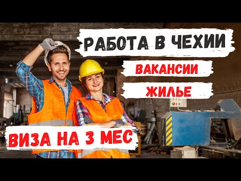 Видео: Работа в Чехии | Виза на 3 месяца 🇺🇦🇧🇾