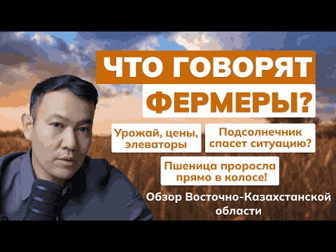 Видео: ВКО. Ситуация на полях. Что говорят фермеры? Фураж. Цены. Элеваторы. #сельскоехозяйство #фермер