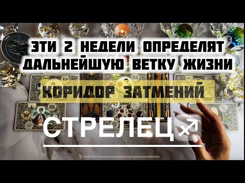Видео: Стрелец ♐️ 8 - 21 сентября 2025! Таро и Астропрогноз на коридор затмений 