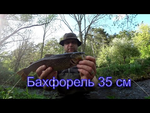 Видео: Прогулка по реке с форелью. Форель стоит на старых местах! Где искать форель?