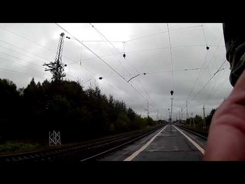 Видео: За грибами. Шарапова охота.