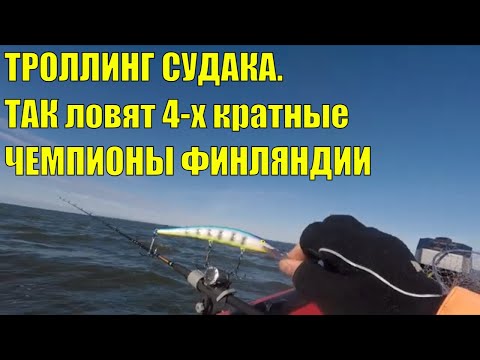 Видео: ТРОЛЛИНГ СУДАКА. Так ловят 4-х кратные ЧЕМПИОНЫ ФИНЛЯНДИИ.