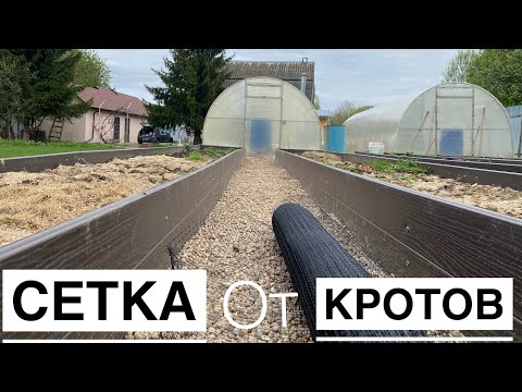 Видео: Сетка от кротов. Знал бы я раньше #сад #грядки