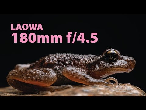 Видео: Laowa 180mm f/4.5 Macro — королева рабочих расстояний!