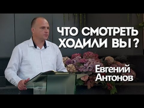Видео: Что смотреть ходили вы в пустыню? | Уроки ЧистоПисания