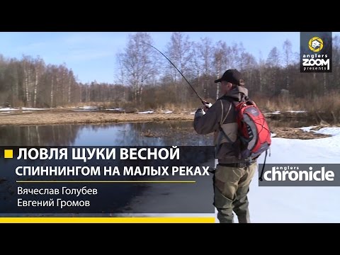 Видео: Ловля щуки весной спиннингом на малых реках. В.Голубев и Е.Громов. Anglers Chronicle