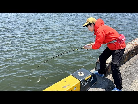 Видео: В полости морской дамбы можно поймать высококачественные ингредиенты! !