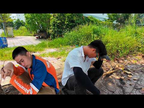 Видео: Уборка тротуара пошла не по плану — я упала от усталости