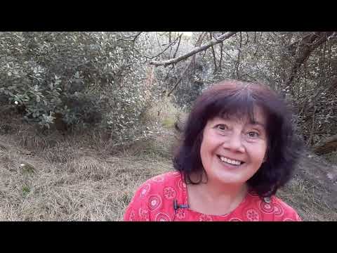 Видео: ЧТО ТАКОЕ ЧУДО