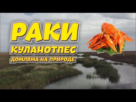 Видео: За РАКАМИ река КУЛАНОТПЕС - Домляма на природе