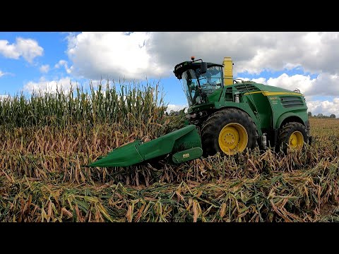 Видео: Что такое Эрладж!