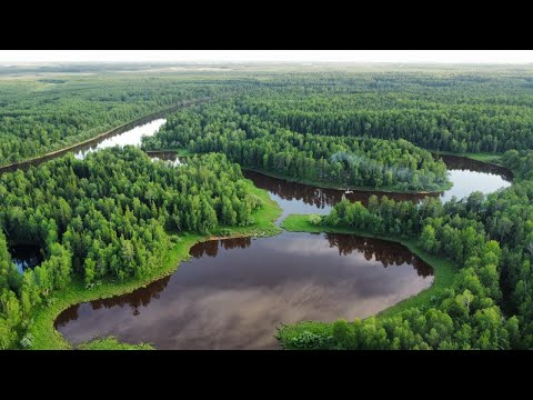 Видео: Рыбалка на избе