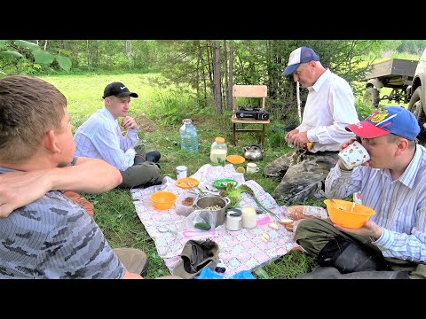 Видео: Наши славные  Сибирские покосы. От оводов нет спасу, такого еще не было.